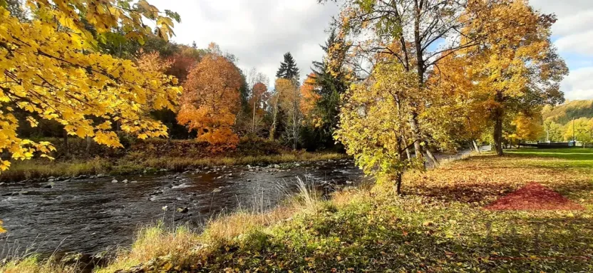 Prodej ubytování, Kašperské Hory - Opolenec, 234 m2