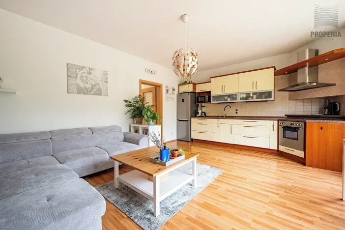 Prodej bytu 2+kk, Brno, Trýbova, 56 m2