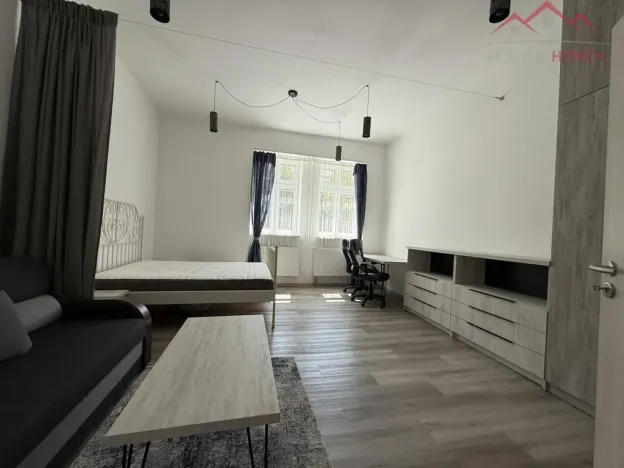 Pronájem bytu 1+1, Chomutov, Školní, 41 m2