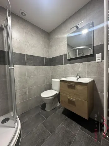 Pronájem bytu 1+1, Chomutov, Školní, 41 m2