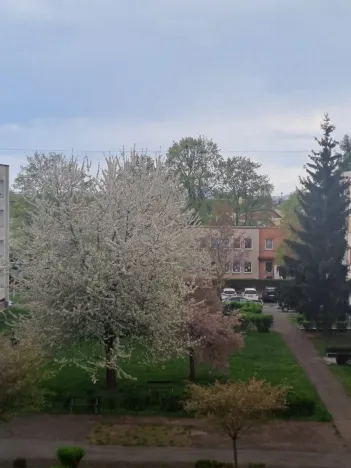 Pronájem bytu 3+kk, Hradec Králové, Jungmannova, 66 m2