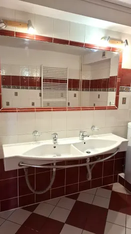 Pronájem bytu 4+kk, Plzeň, Přemyslova, 180 m2