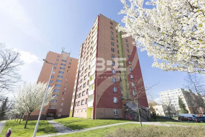 Pronájem bytu 1+kk, Český Těšín, Čáslavská, 32 m2