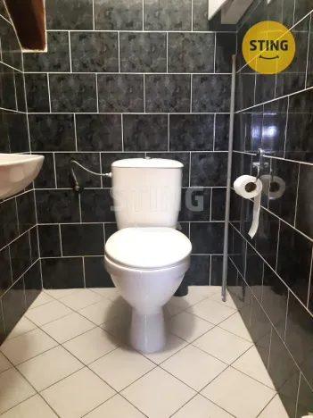 Pronájem bytu 3+1, Mělník, Fibichova, 116 m2