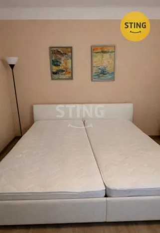 Pronájem bytu 2+kk, České Budějovice, Čechova, 55 m2