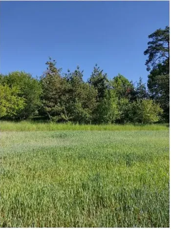 Prodej lesa, Lipník, 2058 m2