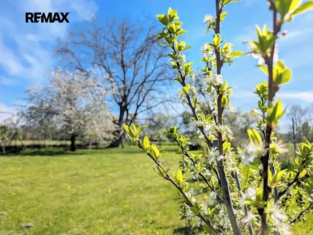 Prodej zahrady, Tuněchody, 1715 m2