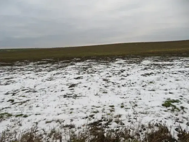 Dražba louky, Račice nad Trotinou, 18528 m2