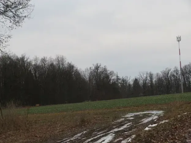 Dražba louky, Račice nad Trotinou, 18528 m2