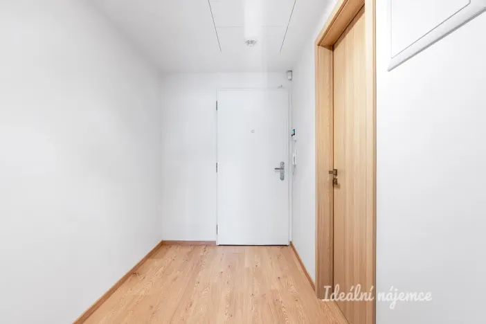 Pronájem bytu 1+kk, Praha - Hloubětín, Domalípova, 32 m2
