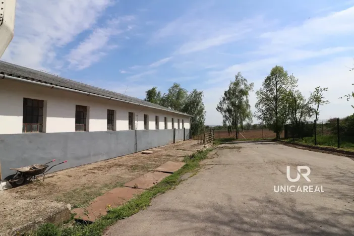 Pronájem skladu, Holubice, 1760 m2