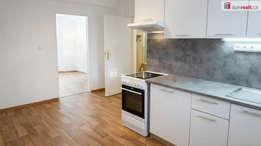 Pronájem bytu 1+1, Kolín - Kolín V, Mlýnská, 40 m2