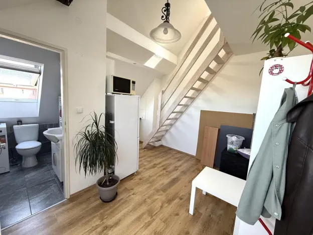 Pronájem bytu 2+kk, Brno - Černovice, Řehořova, 26 m2