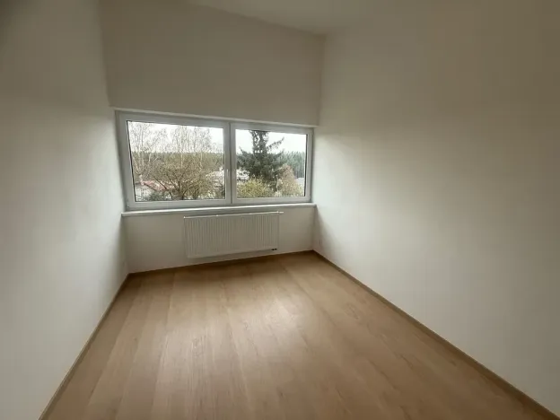 Pronájem rodinného domu, Plzeň, Dlasková, 108 m2