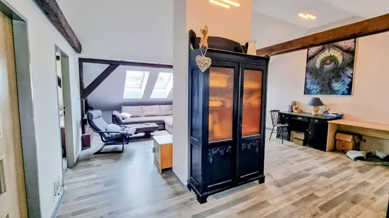 Pronájem bytu 3+1, Jihlava, Mlýnská, 135 m2