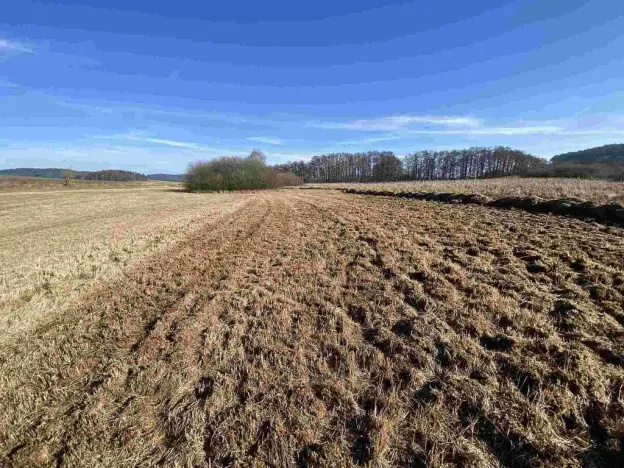 Prodej pole, Kváskovice, 10470 m2
