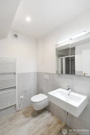 Pronájem bytu 2+kk, Praha - Vinohrady, Mánesova, 46 m2