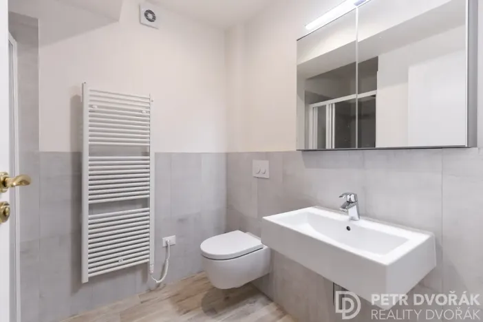 Pronájem bytu 2+kk, Praha - Vinohrady, Mánesova, 46 m2