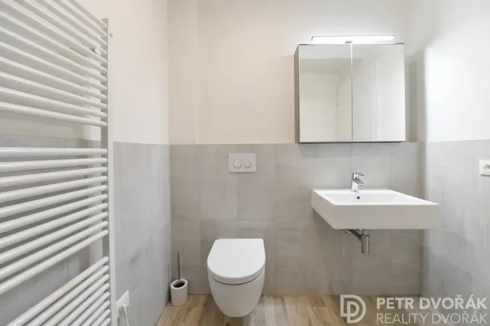 Pronájem bytu 2+kk, Praha - Vinohrady, Mánesova, 46 m2