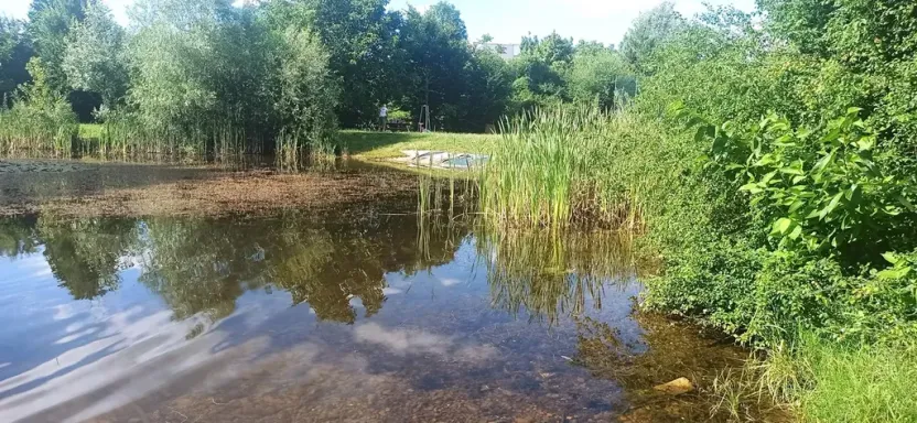 Prodej bytu 3+kk, Brno, Mírová, 66 m2