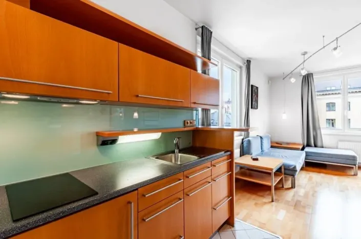 Pronájem bytu 1+kk, Praha - Vinohrady, U Zvonařky, 40 m2