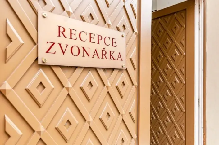 Pronájem bytu 1+kk, Praha - Vinohrady, U Zvonařky, 40 m2