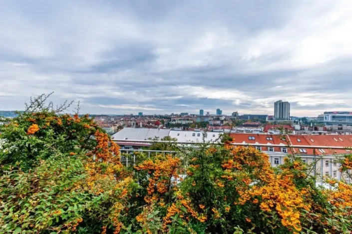 Pronájem bytu 1+kk, Praha - Vinohrady, U Zvonařky, 40 m2