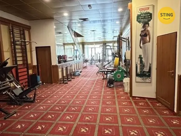 Pronájem obchodního prostoru, Ostrava, Denisova, 530 m2