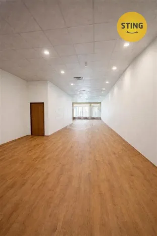 Pronájem obchodního prostoru, Ostrava, Denisova, 530 m2
