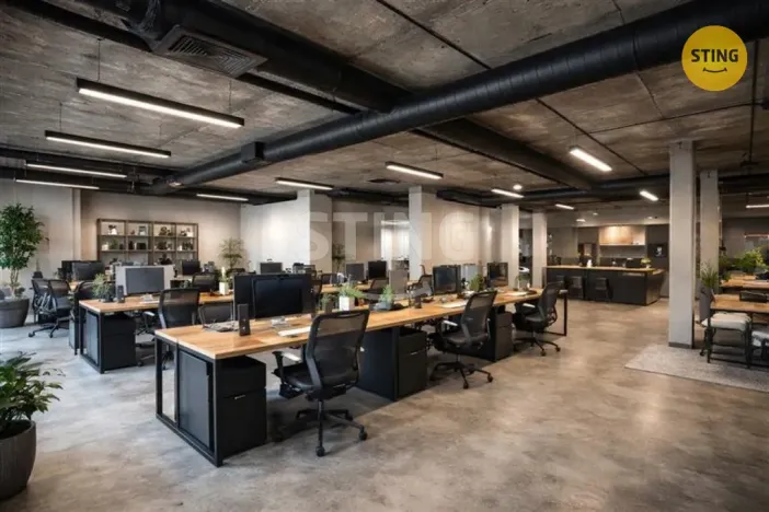 Pronájem obchodního prostoru, Ostrava, Denisova, 530 m2