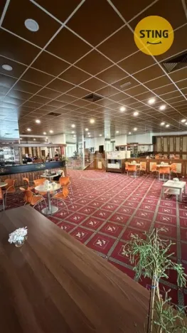 Pronájem obchodního prostoru, Ostrava, Denisova, 530 m2