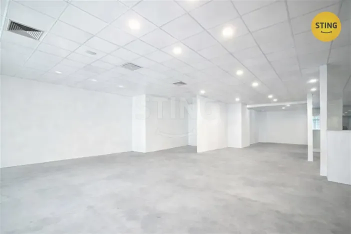 Pronájem obchodního prostoru, Ostrava, Denisova, 530 m2