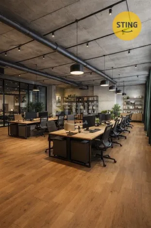 Pronájem obchodního prostoru, Ostrava, Denisova, 530 m2