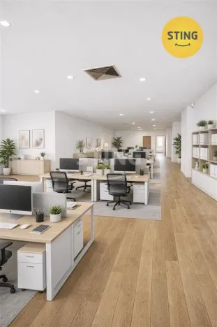 Pronájem obchodního prostoru, Ostrava, Denisova, 530 m2