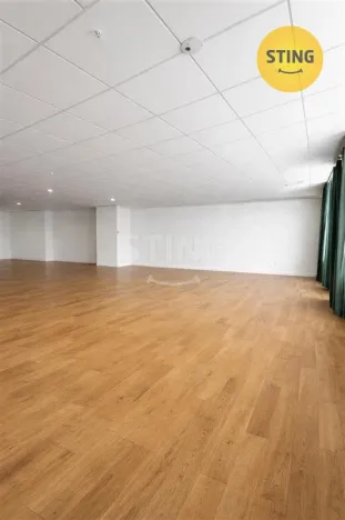 Pronájem obchodního prostoru, Ostrava, Denisova, 530 m2