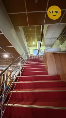 Pronájem obchodního prostoru, Ostrava, Denisova, 530 m2