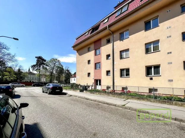 Pronájem bytu 5+kk, Brno, Slámova, 150 m2