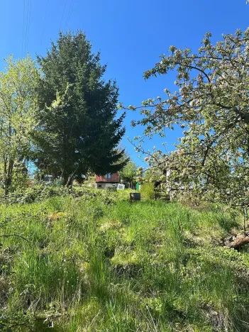 Prodej zahrady, Děčín, Litoměřická, 537 m2