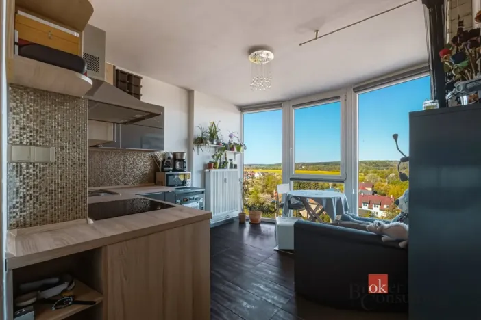 Pronájem bytu 2+1, Plzeň - Litice, Klatovská, 40 m2