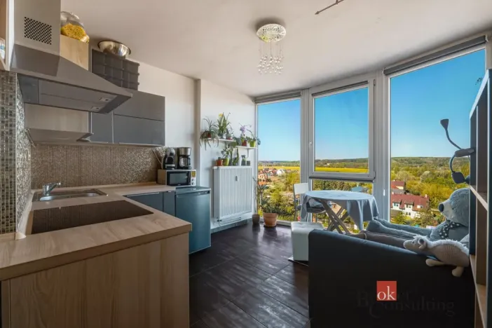 Pronájem bytu 2+1, Plzeň - Litice, Klatovská, 40 m2