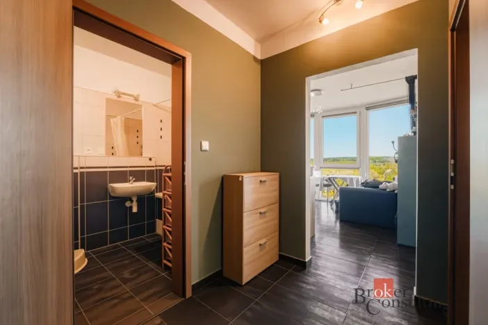 Pronájem bytu 2+1, Plzeň - Litice, Klatovská, 40 m2