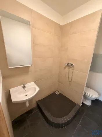 Pronájem bytu 2+1, Chomutov, Školní pěšina, 50 m2