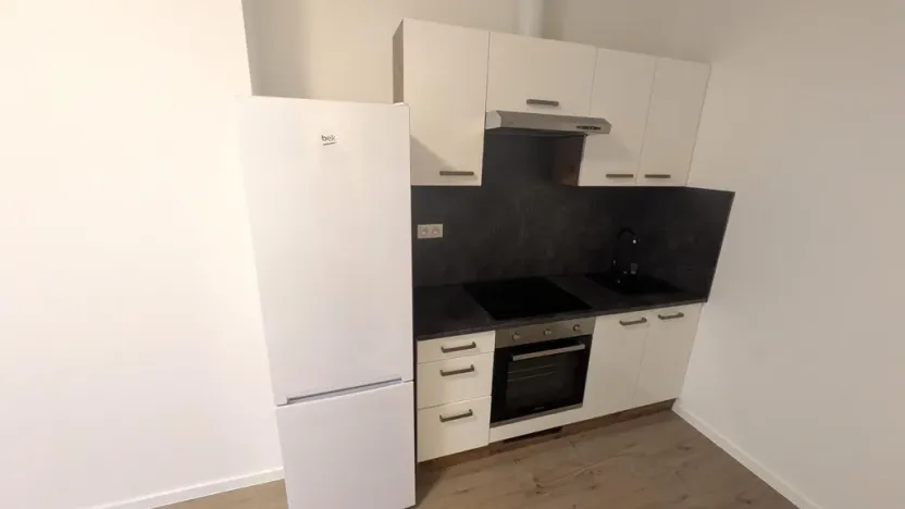 Pronájem apartmánu, Most, Františka Halase, 68 m2