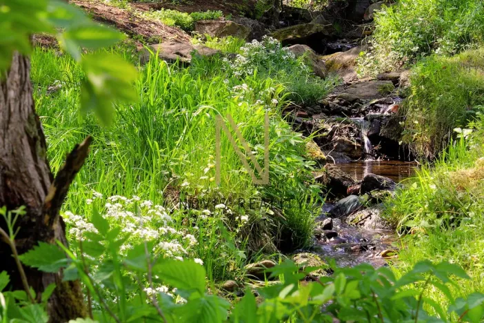 Prodej pozemku pro bydlení, Nezdice na Šumavě, 3411 m2