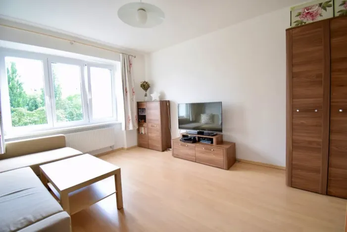 Pronájem bytu 2+1, Brno - Štýřice, Dvorského, 50 m2