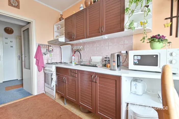 Pronájem bytu 3+1, Brno, Sevastopolská, 73 m2