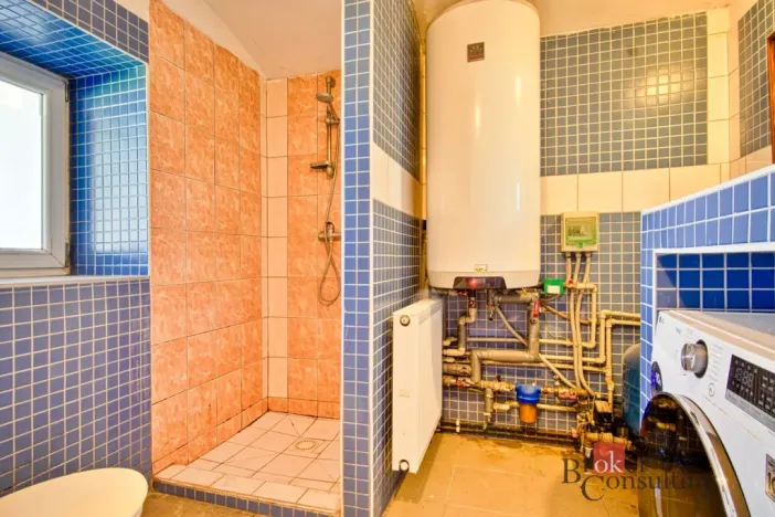 Prodej rodinného domu, Opařany - Oltyně, 105 m2