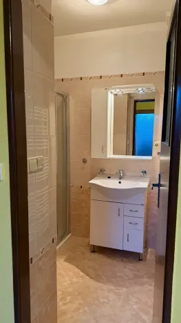 Prodej rodinného domu, Hrušovany nad Jevišovkou, 300 m2