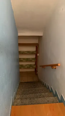 Prodej rodinného domu, Hrušovany nad Jevišovkou, 300 m2