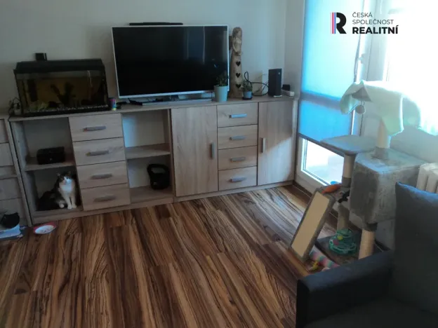 Pronájem bytu 1+kk, Kladno - Kročehlavy, Francouzská, 45 m2